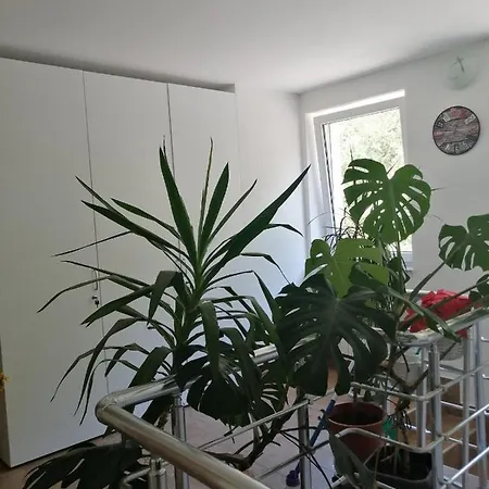 Ferienwohnung Sobe Pri Rozi Postojna Exterior foto